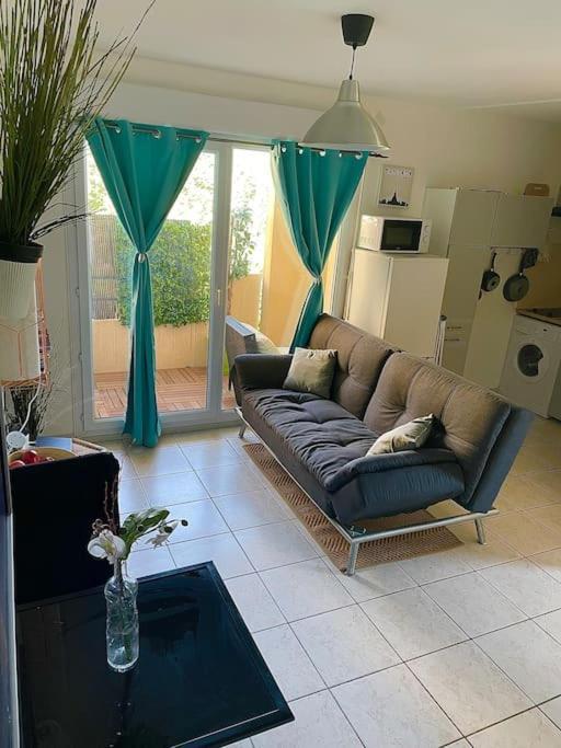 Appt Lumineux, Piscine, Wifi Apartment Montpellier Luaran gambar